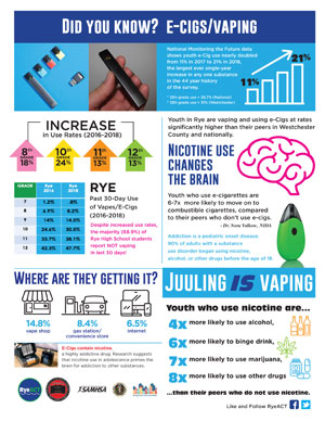 Did You Know E-Cigs/Vaping Flyer 