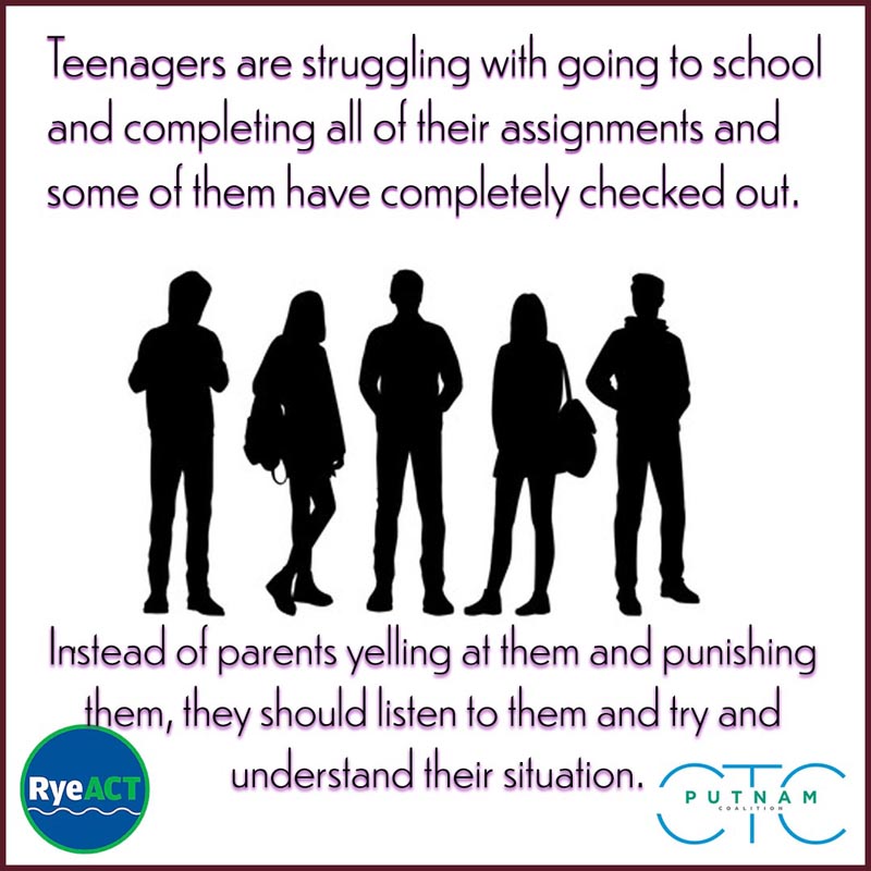 Teenagers are struggling with going to school and completing all of their assignments and some of them have checked out completely.